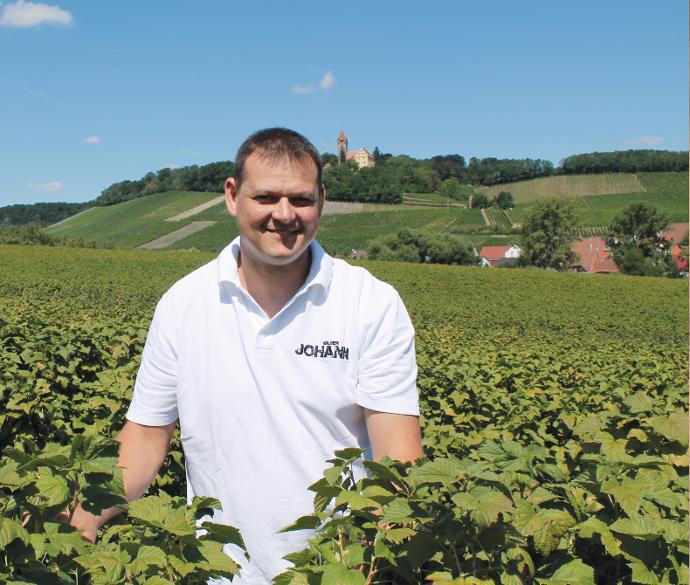 Christian Danner zwischen Johannisbeerpflanzen